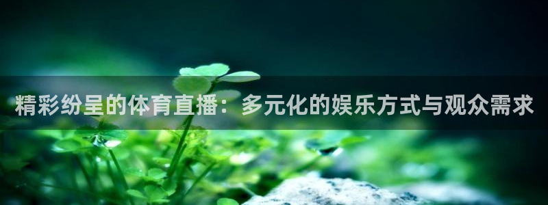 857体育直播吧：精彩纷呈的体育直播：多元化的娱乐方式与观众需求