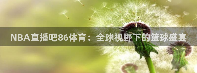 857直播足球免费：NBA直播吧86体育：全球视野下的篮球盛宴