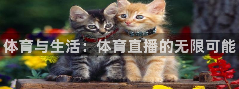 857体育在线直播：体育与生活：体育直播的无限可能