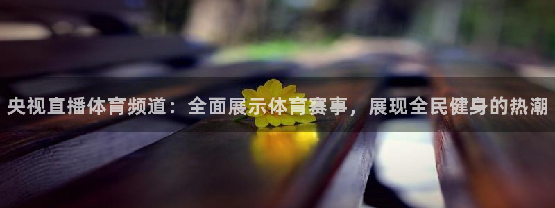 857体育在线直播观看