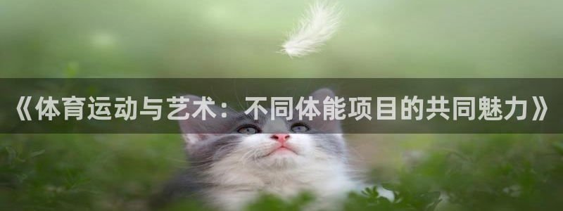 857直播nba直播