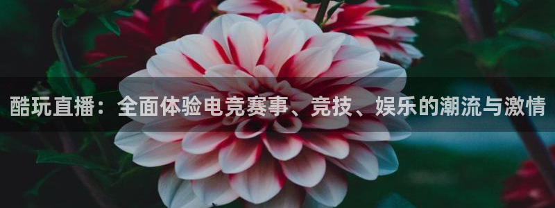857足球直播免费观看高清