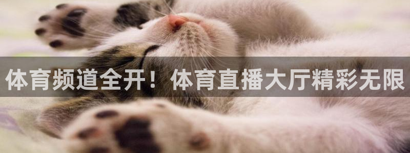 857赛事直播