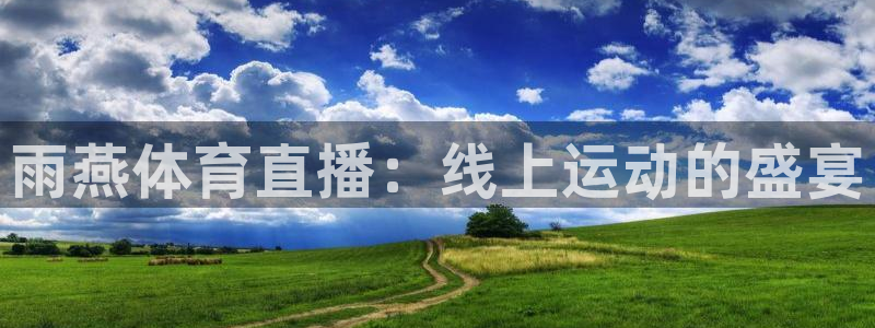 857体育赛事直播app：雨燕体育直播：线上运动的盛宴
