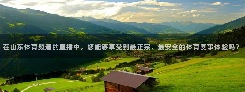 857雨燕直播体育：在山东体育频道的直播中，您能够享受到最正宗、最安全的体育赛事体验吗？
